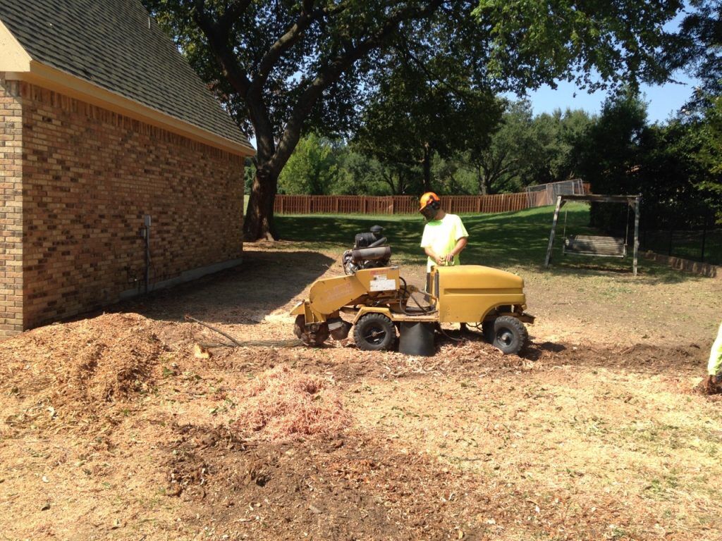 Why Stump Grinding Is Important | ArborTech Tree Service